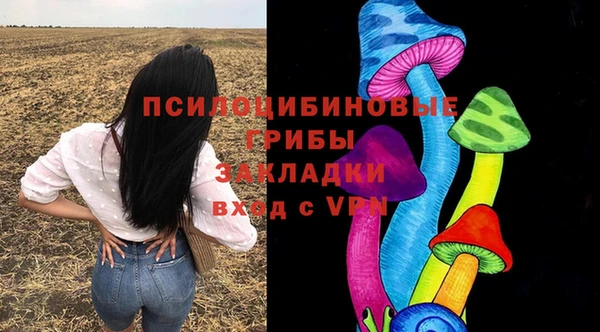 ALPHA PVP Бородино