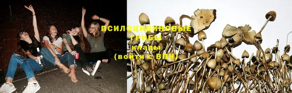 ALPHA PVP Бородино