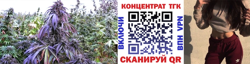 Дистиллят ТГК THC oil  даркнет сайт  Кущёвская 