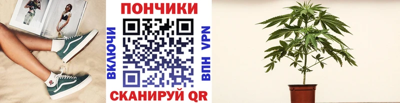 купить закладку  Кущёвская  МАРИХУАНА VHQ 